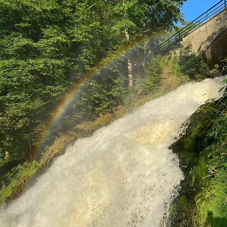 Mon Cocoo * Stavelot