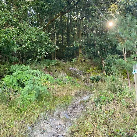 Mon Cocoo Holiday home *