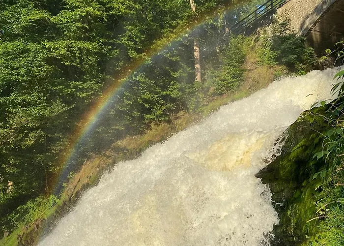 Mon Cocoo * Stavelot