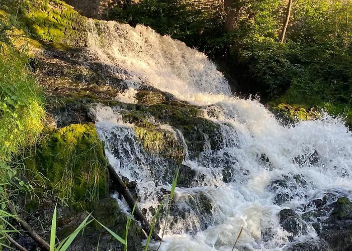 Casa de Férias Mon Cocoo *